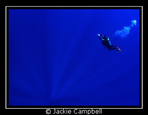 TO INFINITY AND BEYOND...... 
My Buzz lightyear dive bud... by Jackie Campbell 